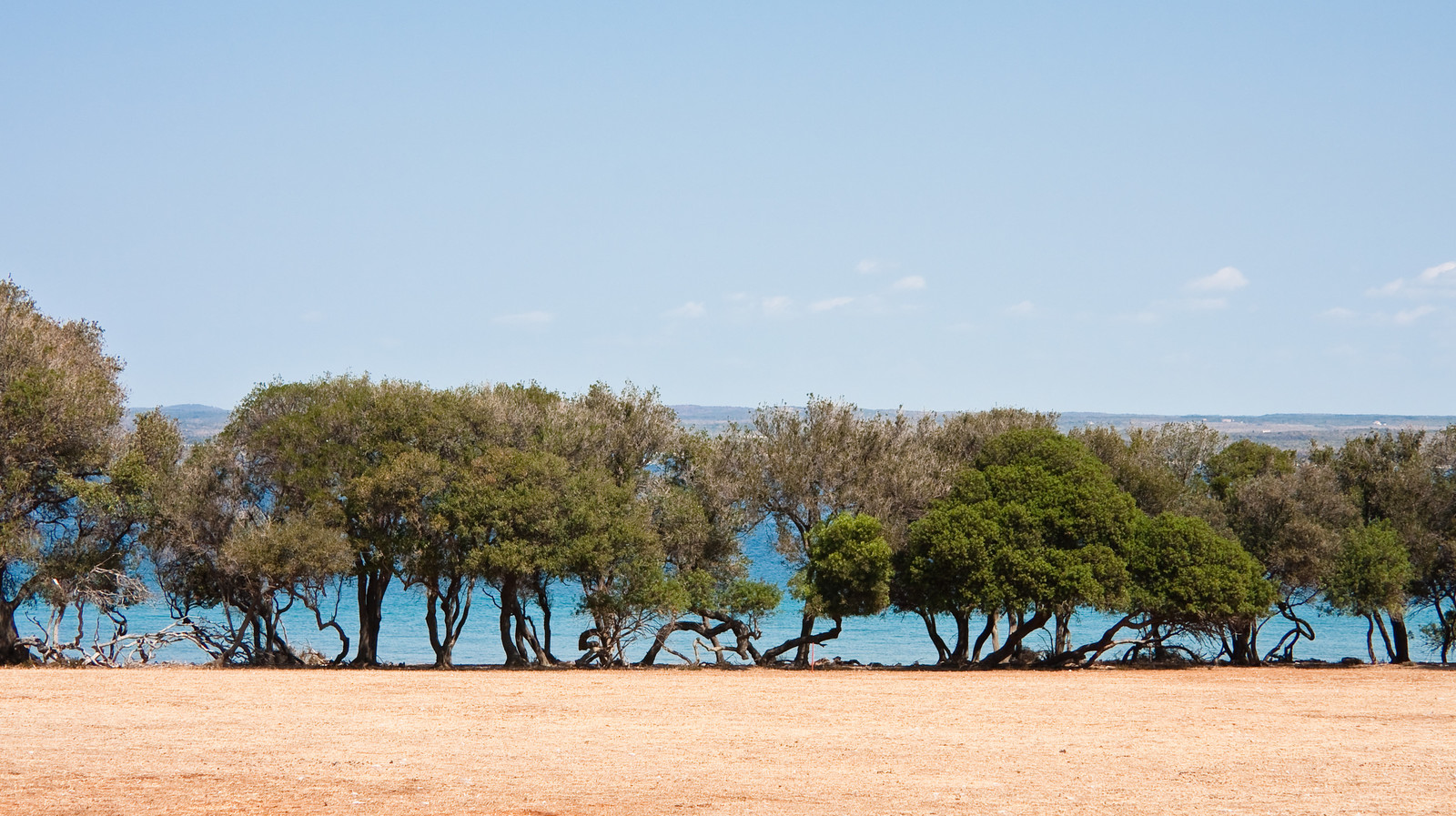 Brijuni National Park, Croatia - The 8 National Parks of Croatia - Best Croatia Tours