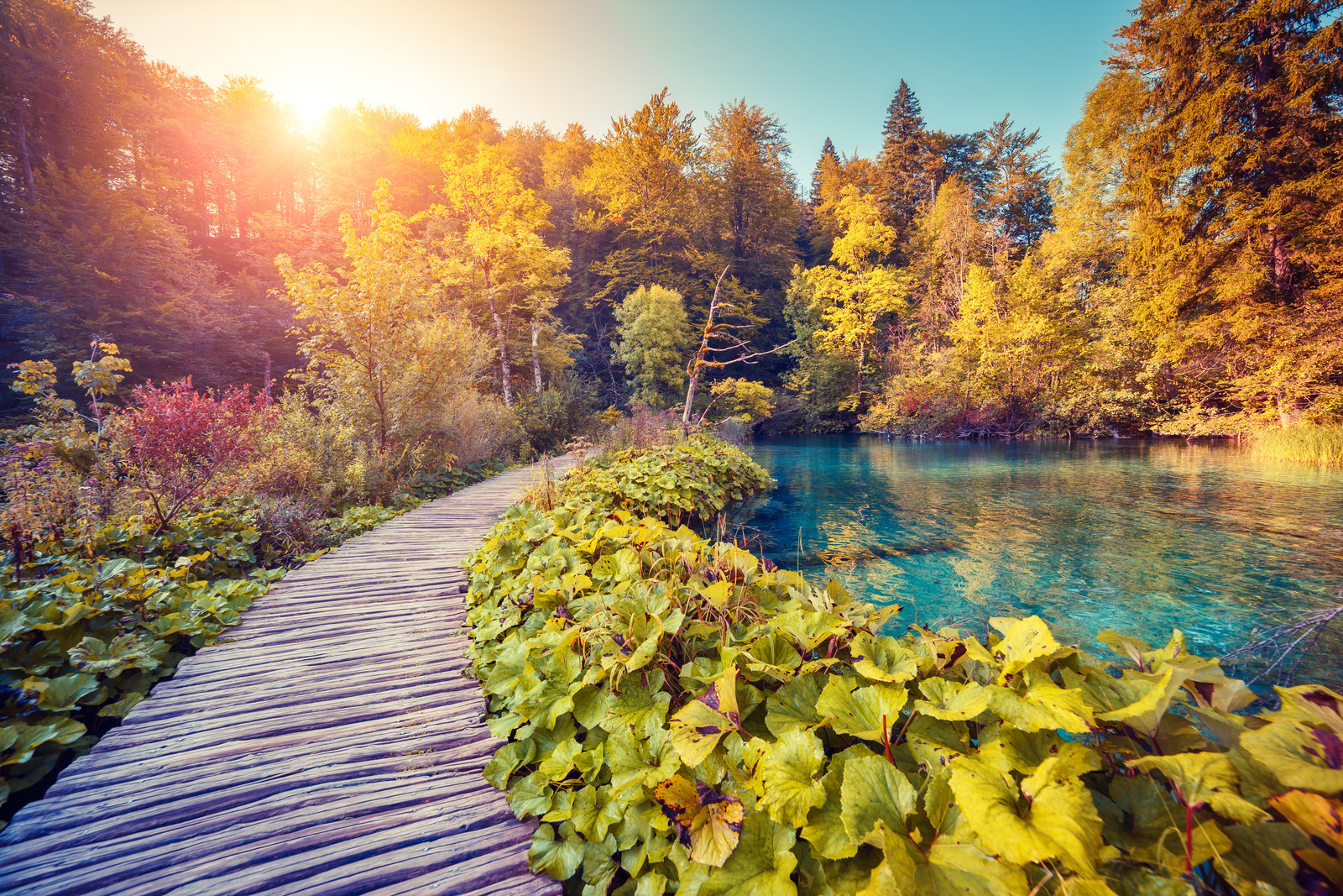 Plitvice Lakes National Park - The 8 National Parks of Croatia - Best Croatia Tours